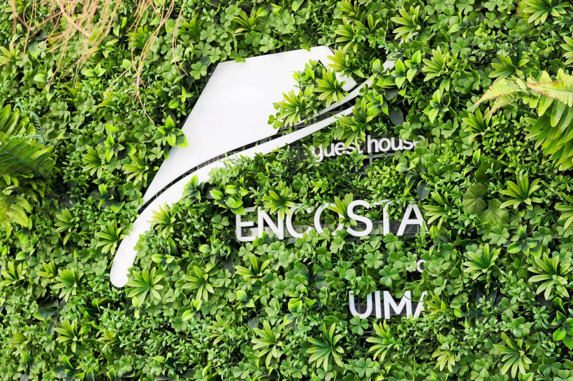 Encosta Do Uima -